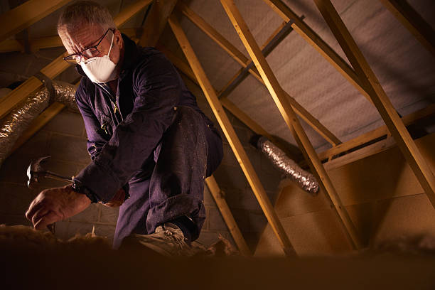 Best Geographic-Specific Insulation Services in Fort Lupton, CO